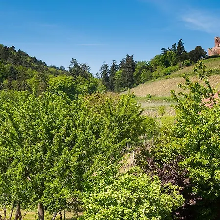 Relais Des Vignes キンツアイム