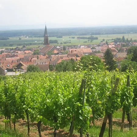 Relais Des Vignes アパート キンツアイム