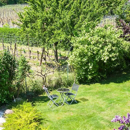 アパート Relais Des Vignes キンツアイム